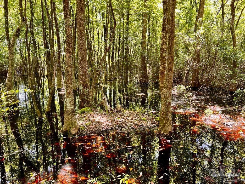 Lot 73 Naturewalk Drive Jay FL 32565