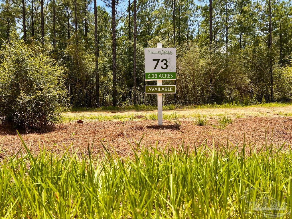 Lot 73 Naturewalk Drive Jay FL 32565