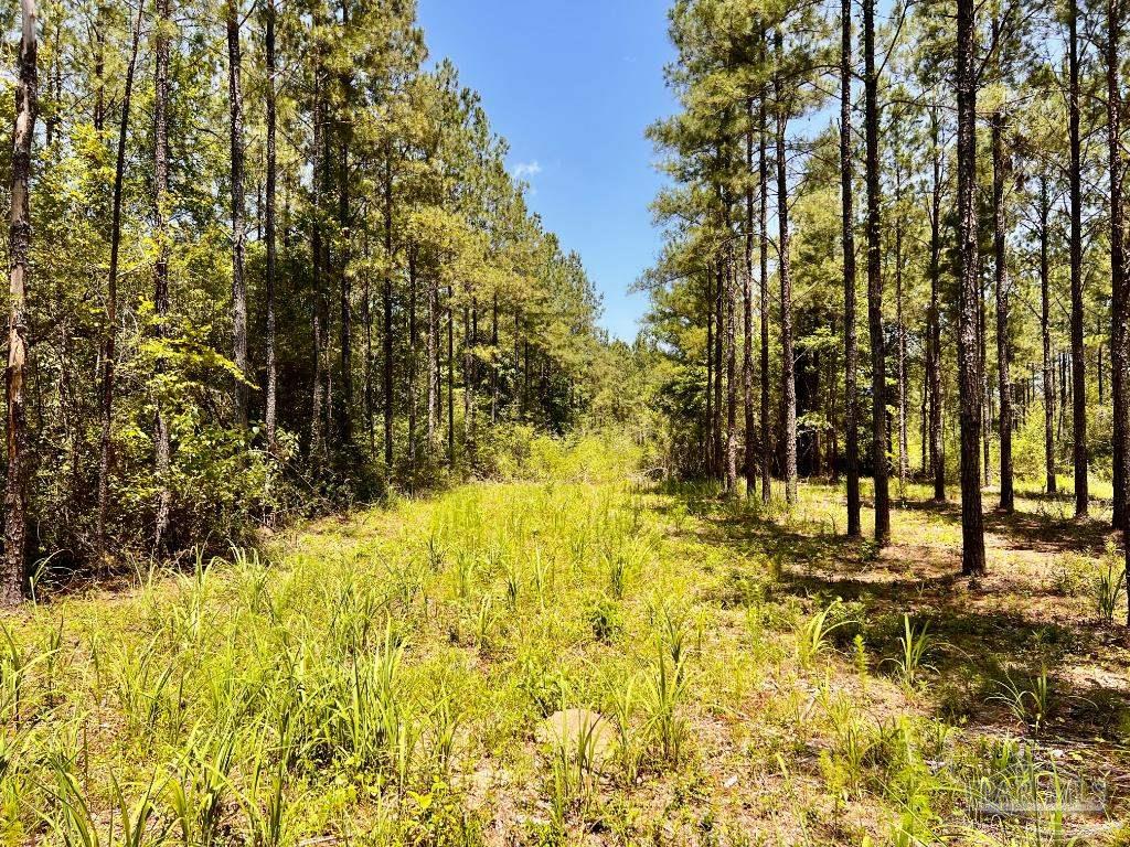 Lot 73 Naturewalk Drive Jay FL 32565