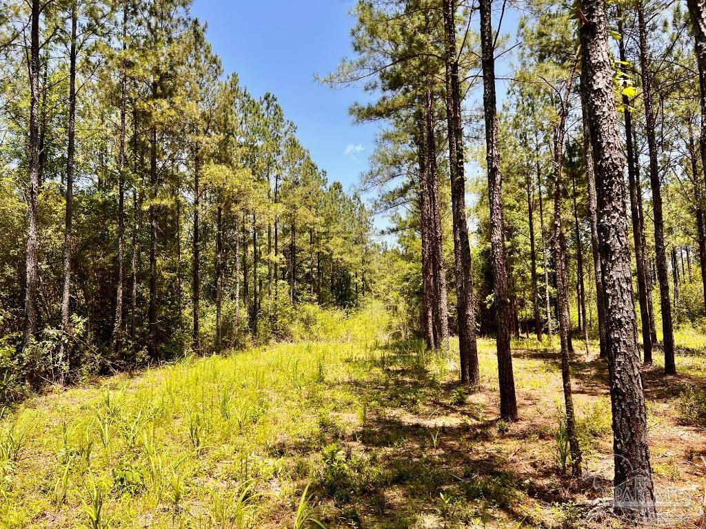 Lot 73 Naturewalk Drive Jay FL 32565