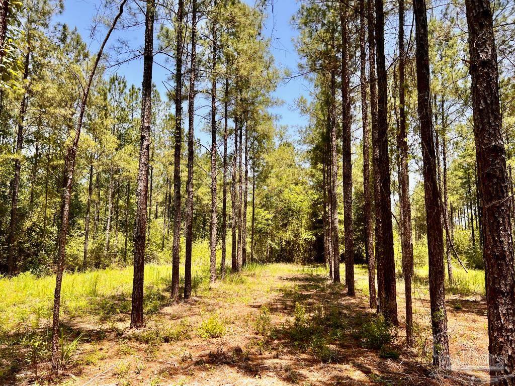 Lot 73 Naturewalk Drive Jay FL 32565