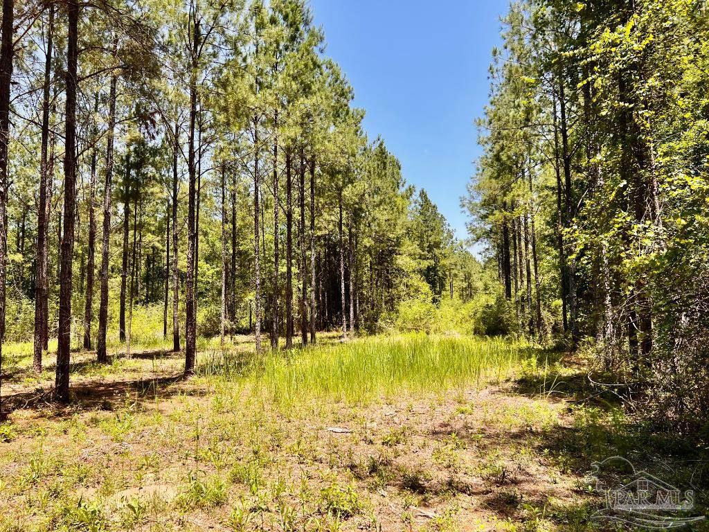 Lot 73 Naturewalk Drive Jay FL 32565