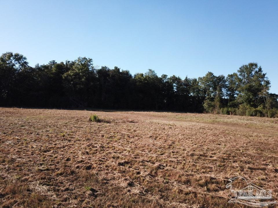 5 Acres Ard Field Road Jay FL 32565