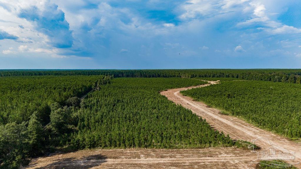 Lot 94 Posie Forest Road Milton FL 32570