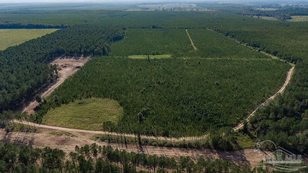 Lot 94 Posie Forest Road Milton FL 32570
