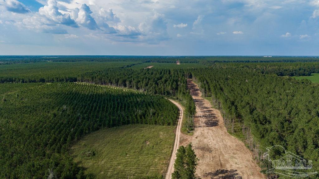 Lot 94 Posie Forest Road Milton FL 32570