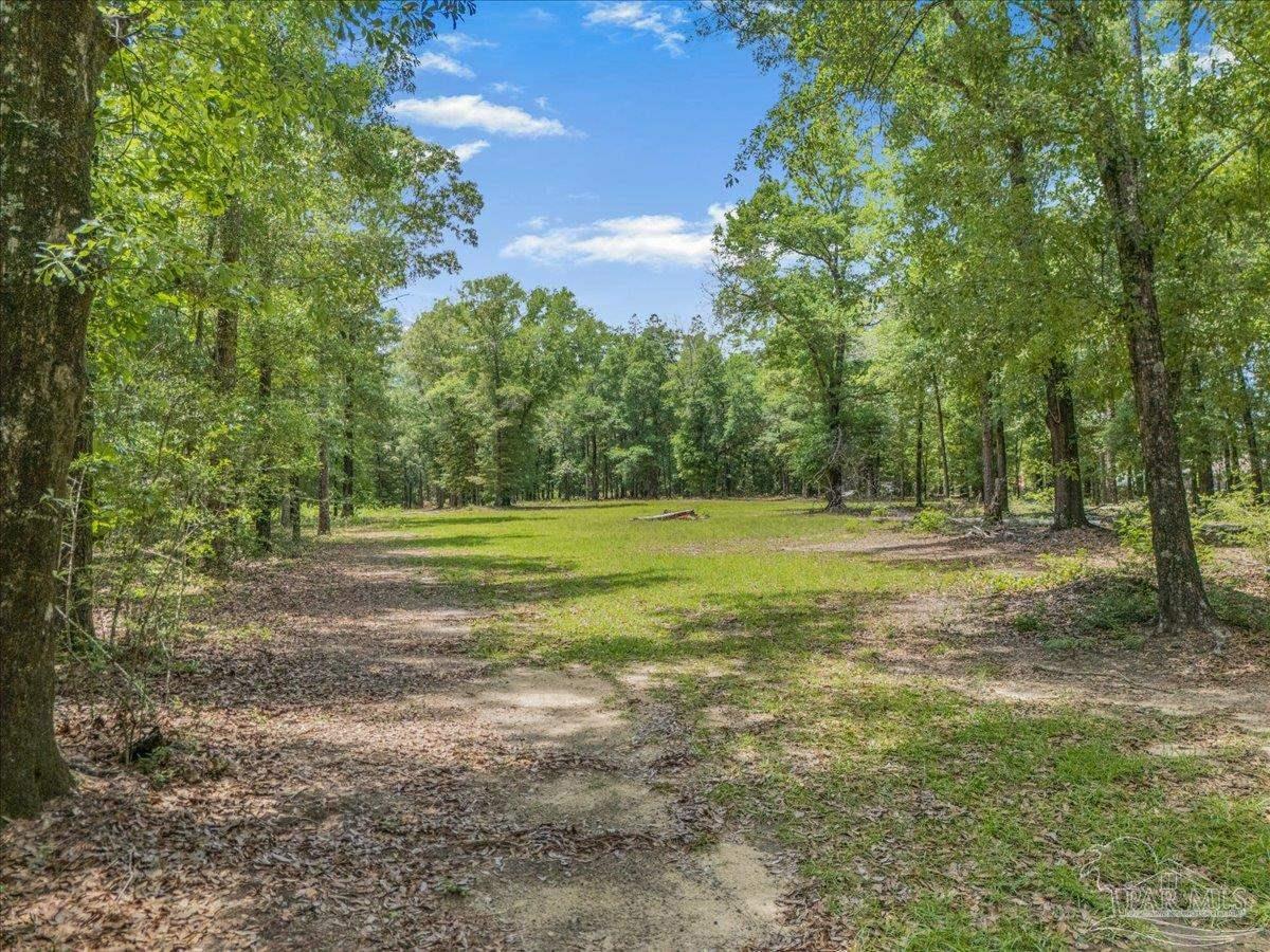 1 Pleasant Grove Road Jay FL 32565