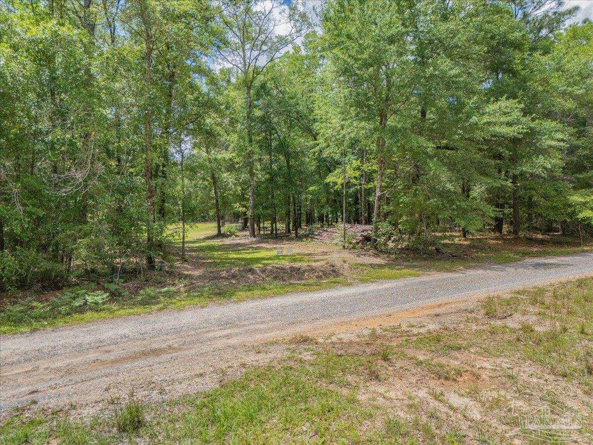 1 Pleasant Grove Road Jay FL 32565