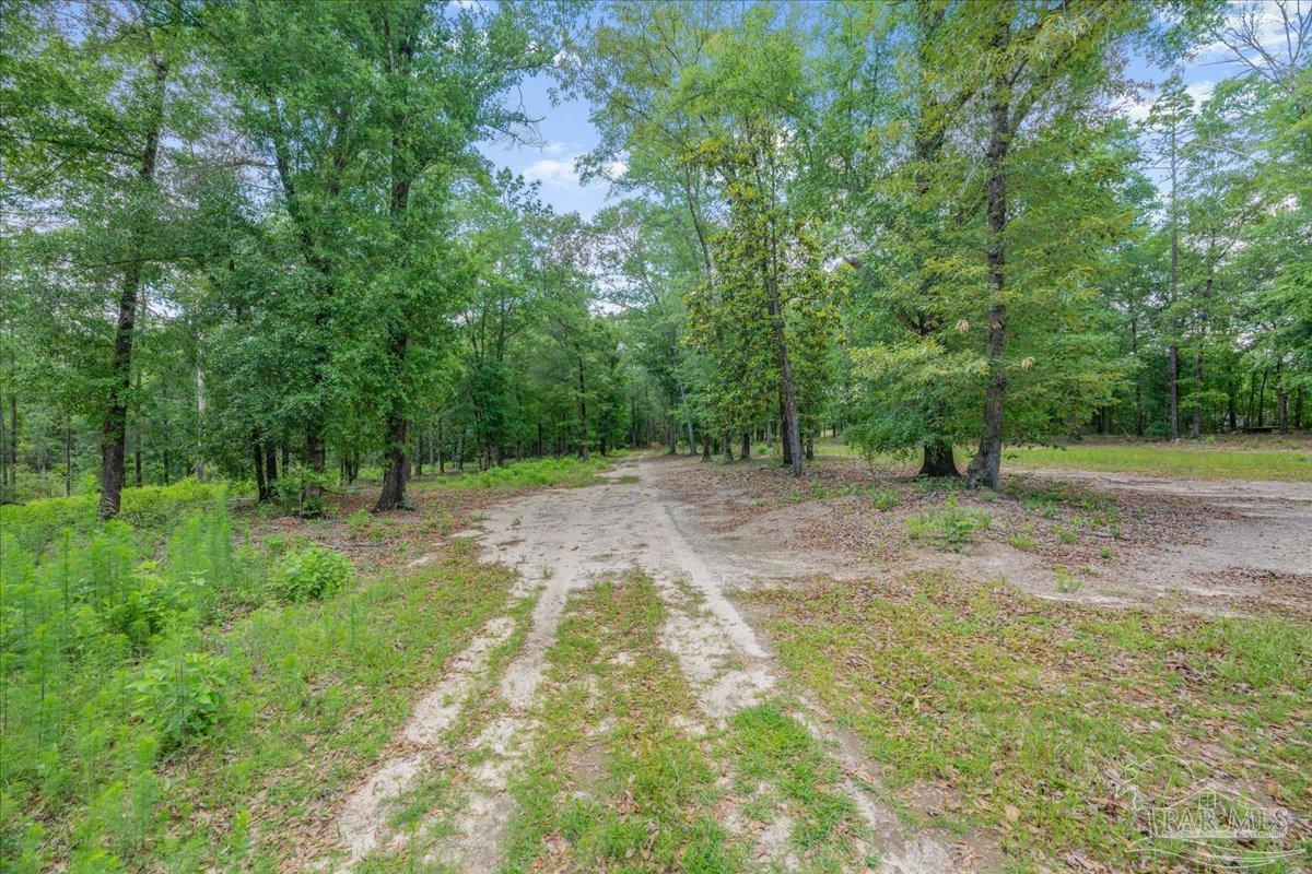 1 Pleasant Grove Road Jay FL 32565