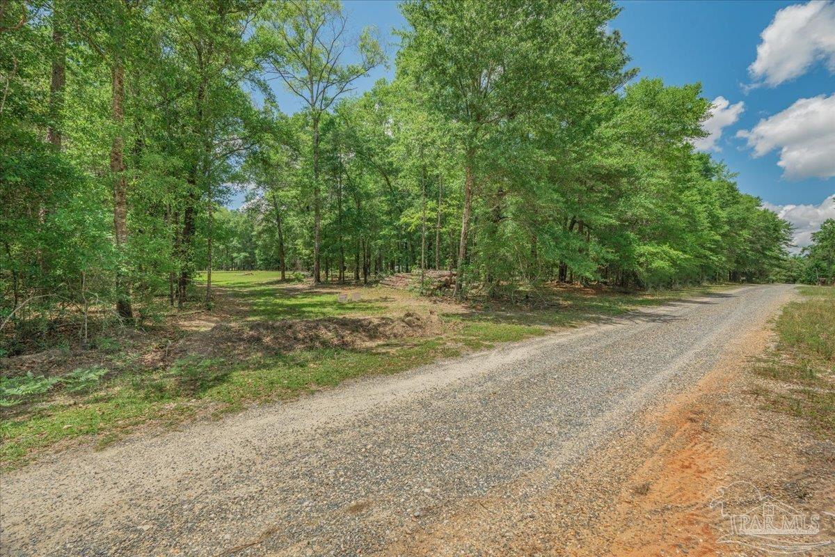 1 Pleasant Grove Road Jay FL 32565