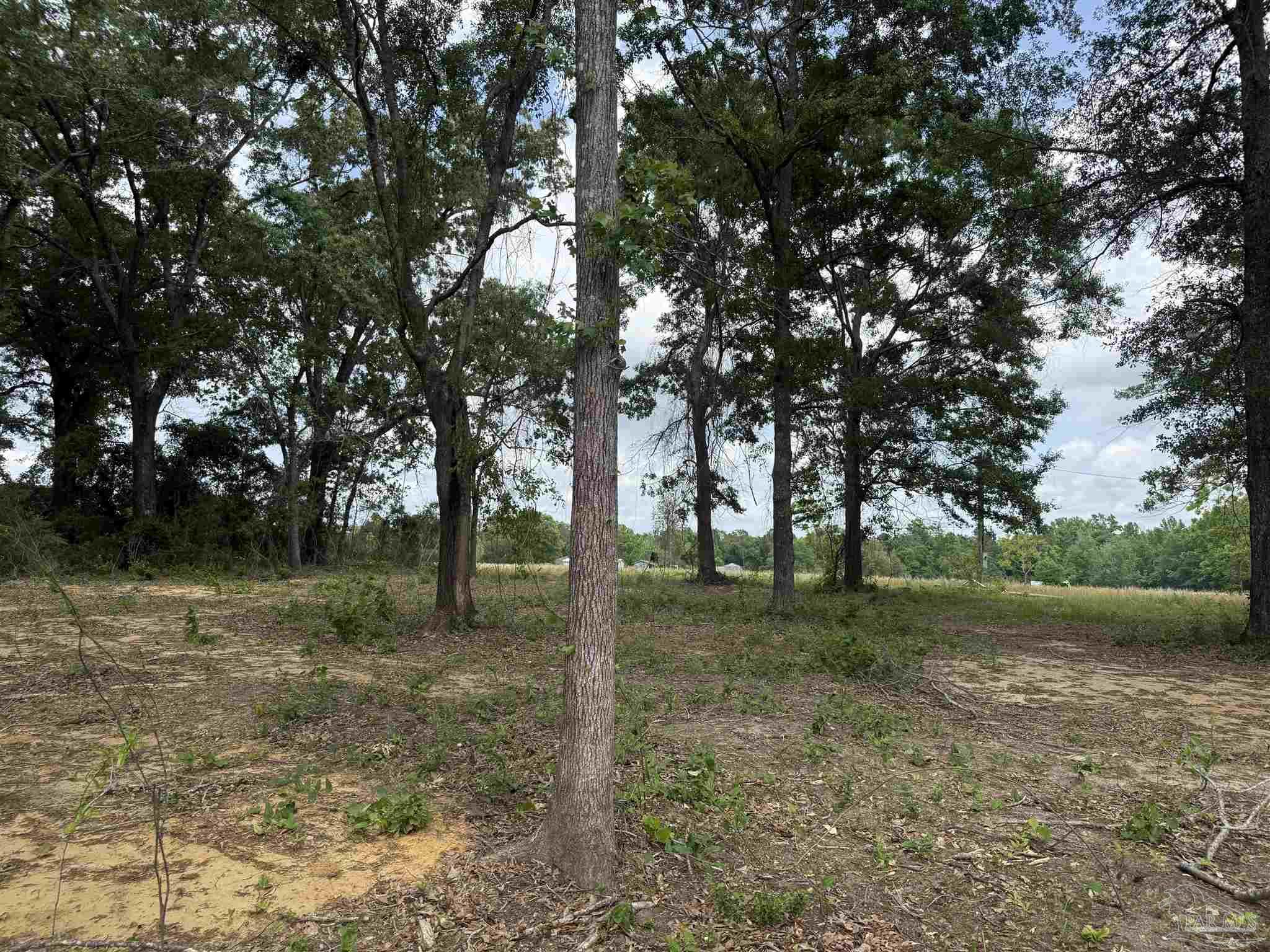 3308 Deloach Lane Milton FL 32570