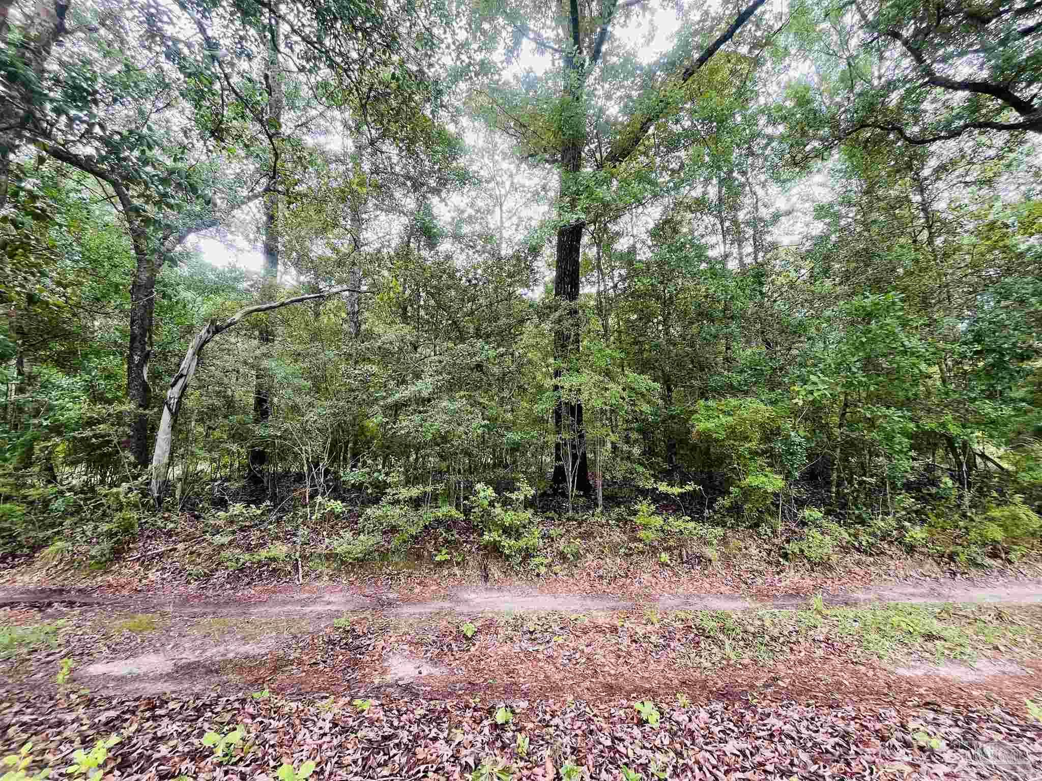 1234 Hutto Parker Road Milton FL 32564