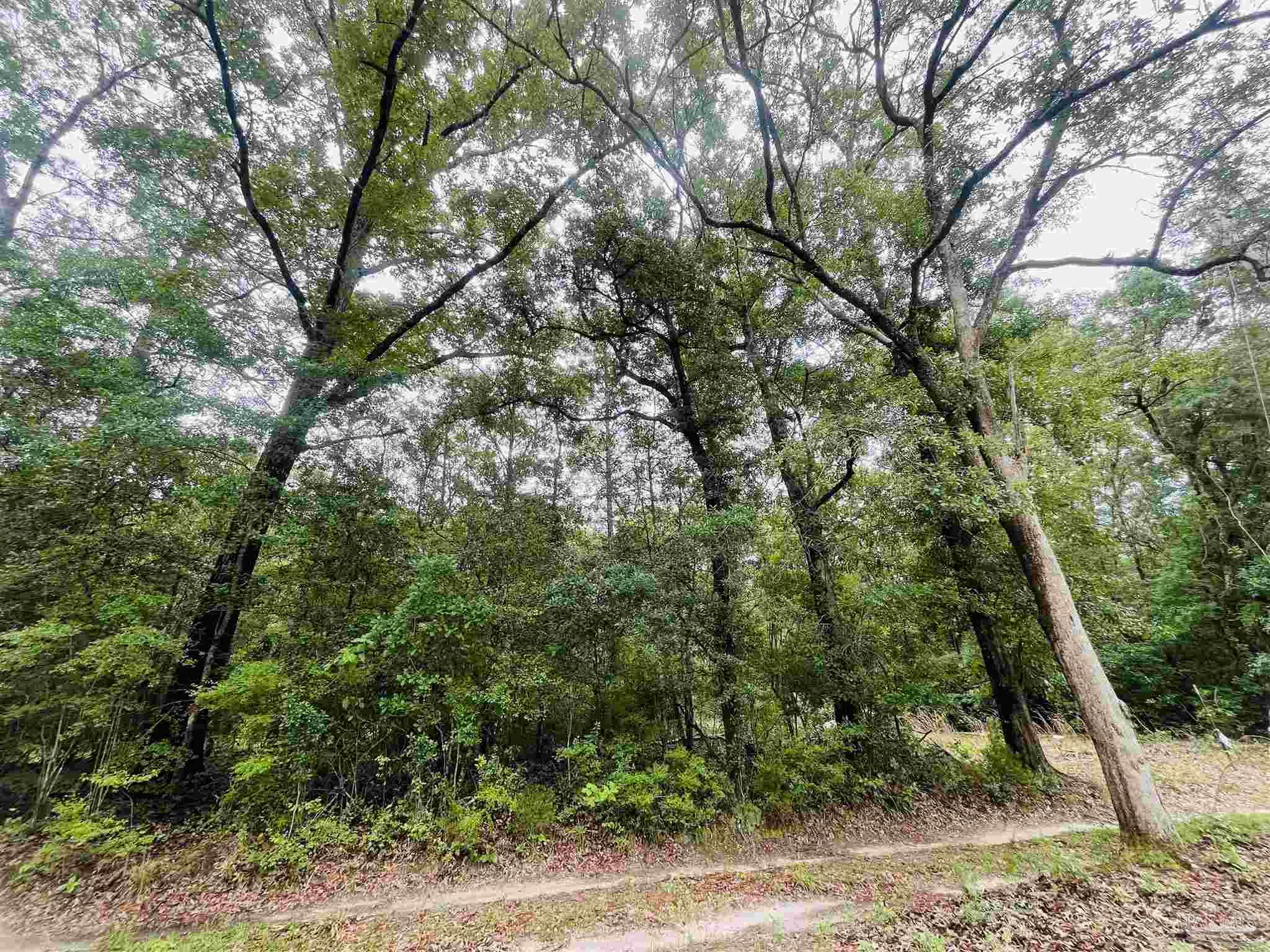 1234 Hutto Parker Road Milton FL 32564