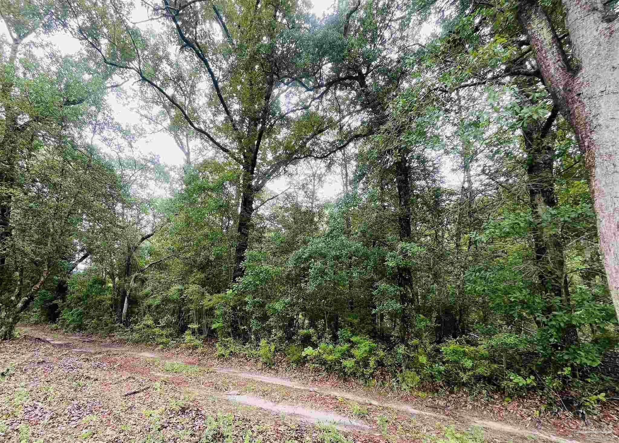 1234 Hutto Parker Road Milton FL 32564