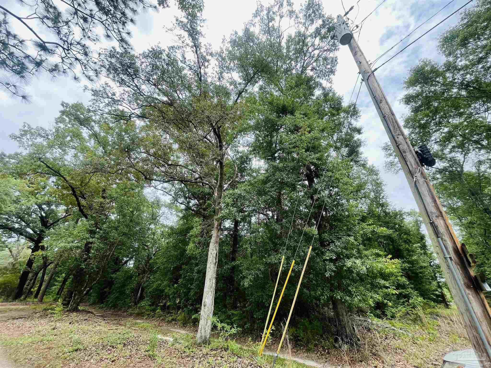 1234 Hutto Parker Road Milton FL 32564