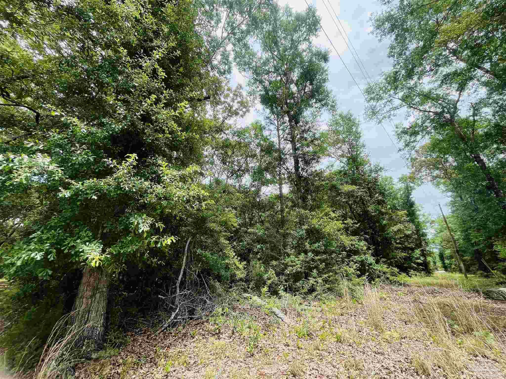 1234 Hutto Parker Road Milton FL 32564