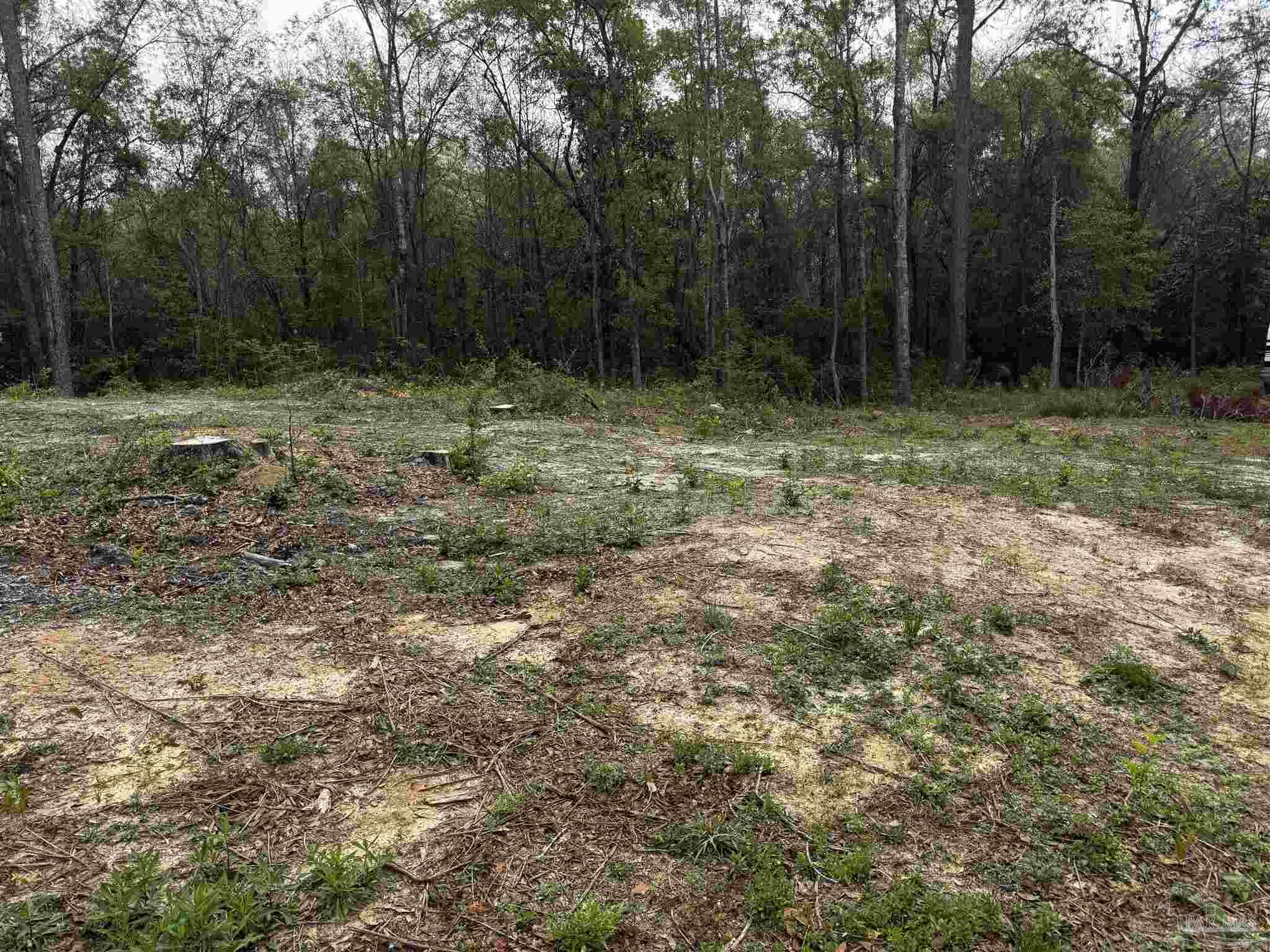 6318 Donna Drive Molino FL 32577