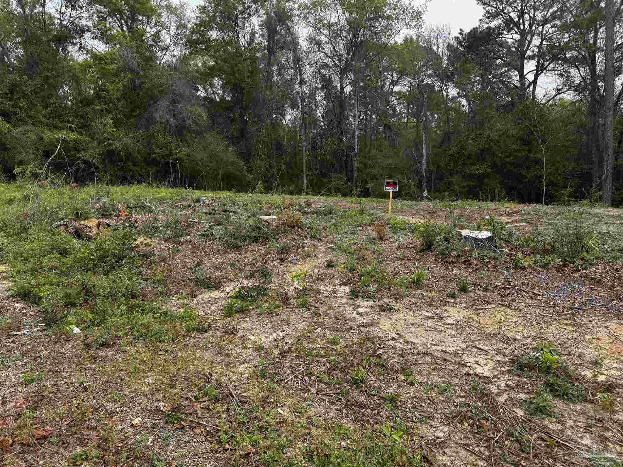 6318 Donna Drive Molino FL 32577