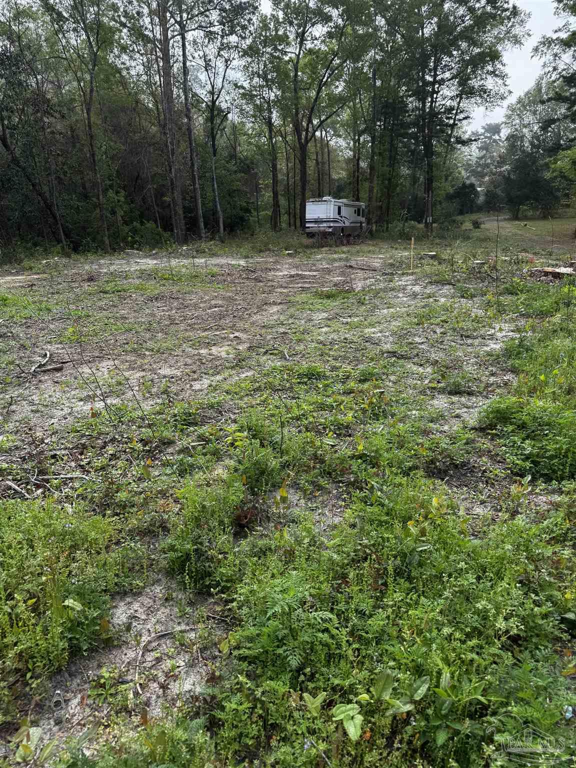 6318 Donna Drive Molino FL 32577