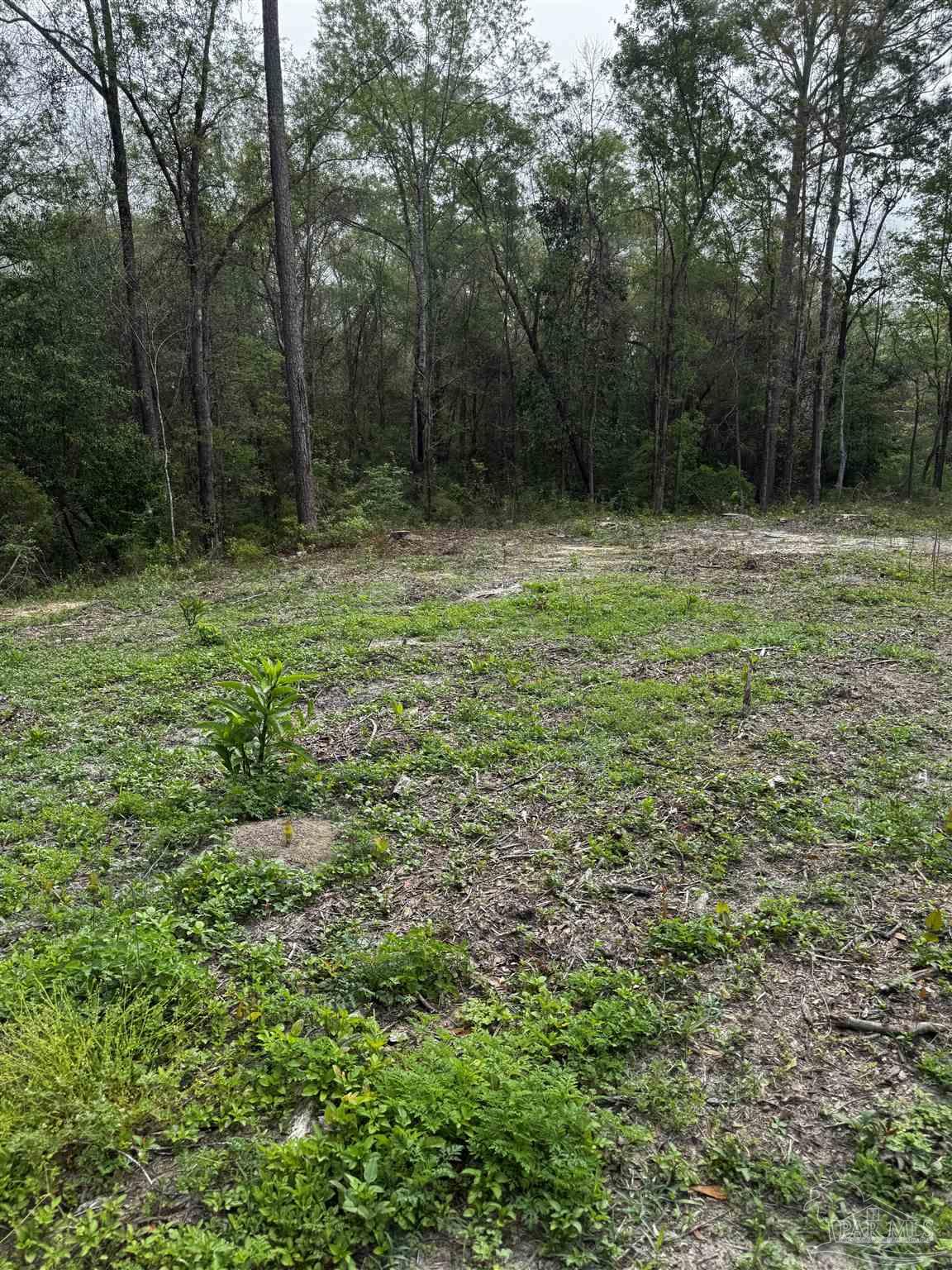 6318 Donna Drive Molino FL 32577