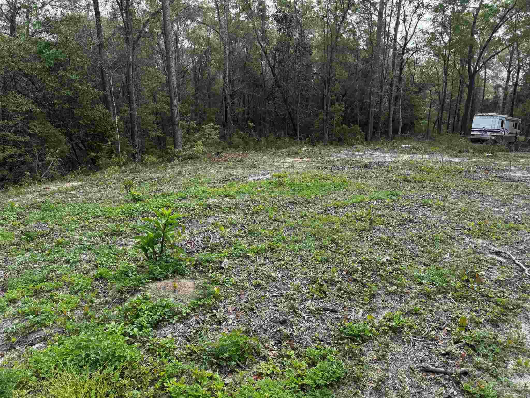 6318 Donna Drive Molino FL 32577