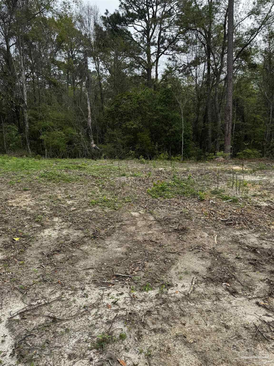 6318 Donna Drive Molino FL 32577