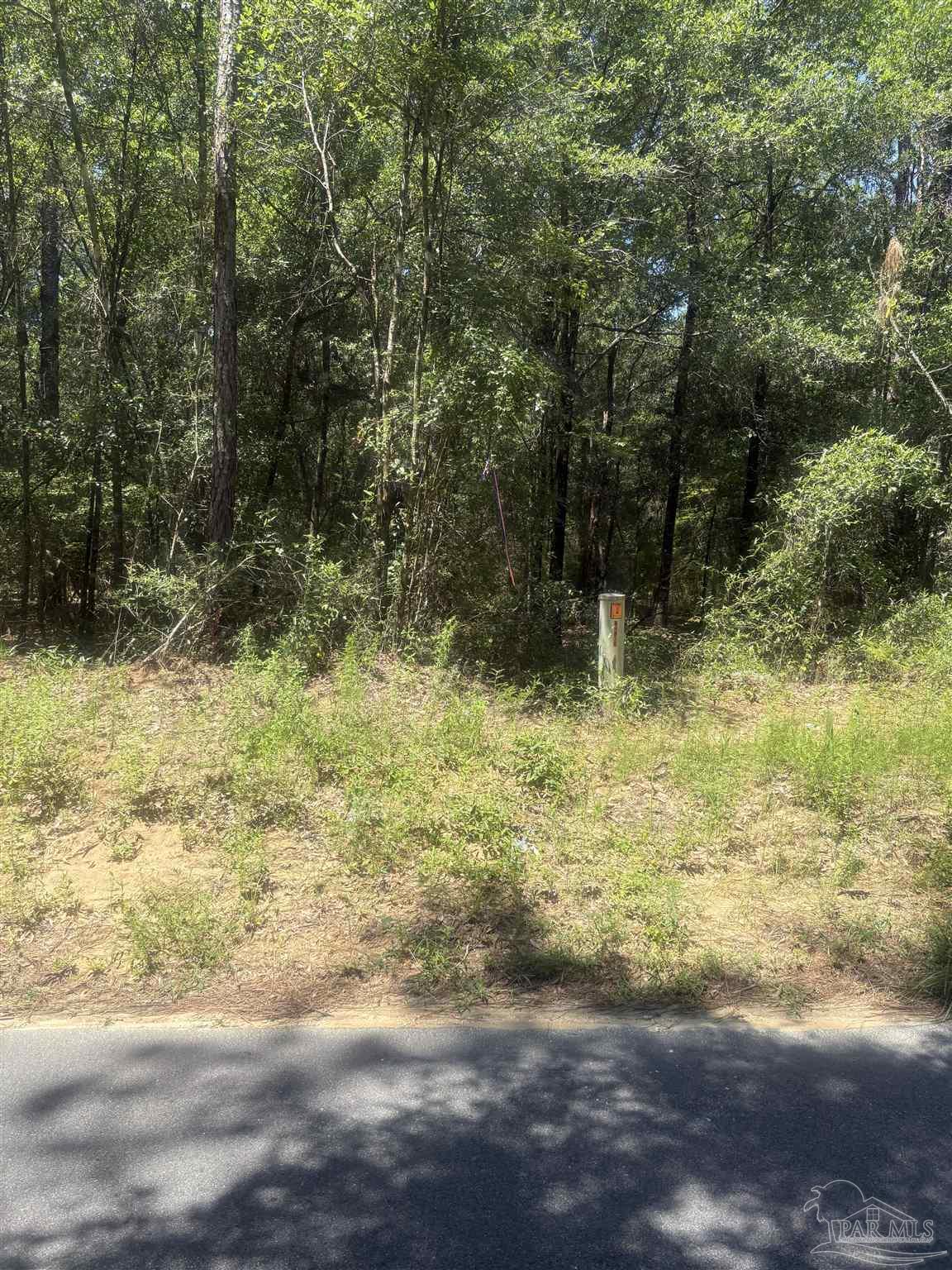 Bryant Bridge Cut Off Holt FL 32564
