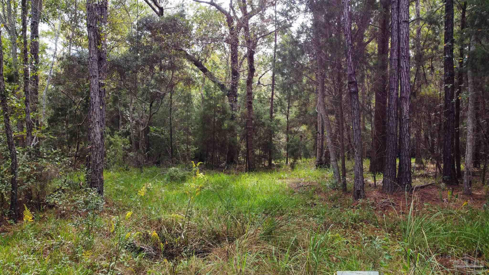 0 Kingsley Place Navarre FL 32566