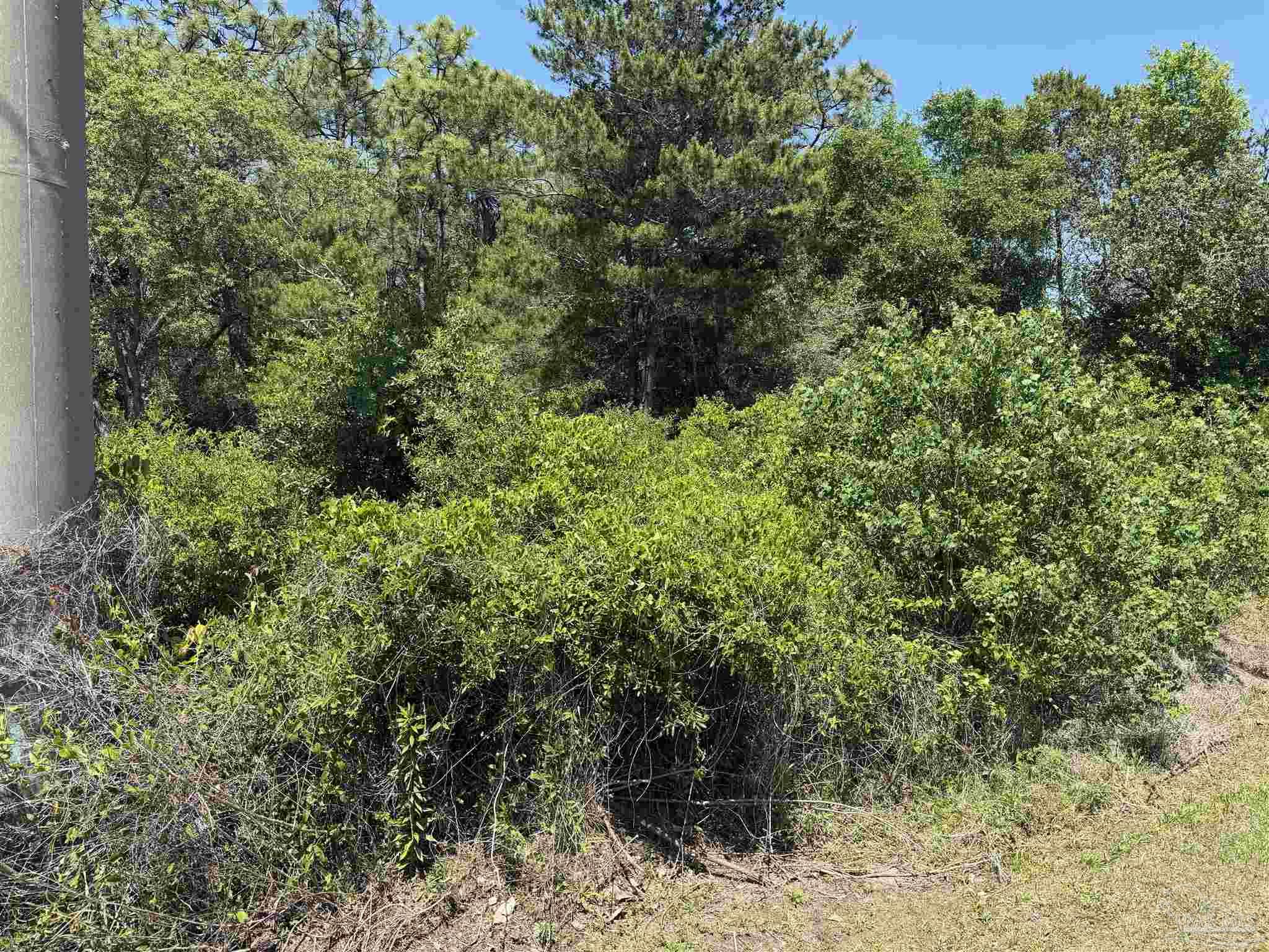 9650 Navarre Parkway Navarre FL 32566