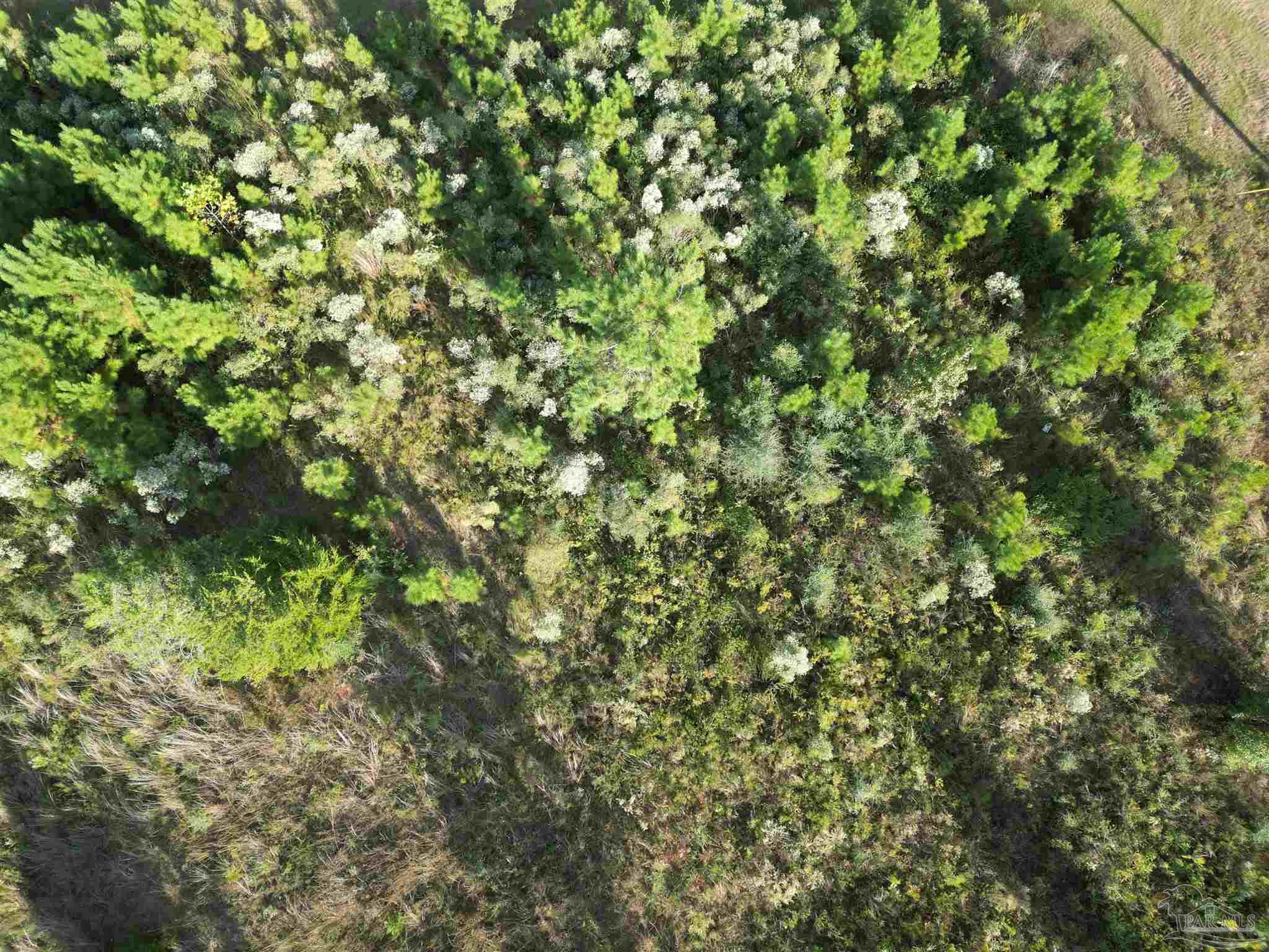 Lot 4n Aubrey Lane Pace FL 32571
