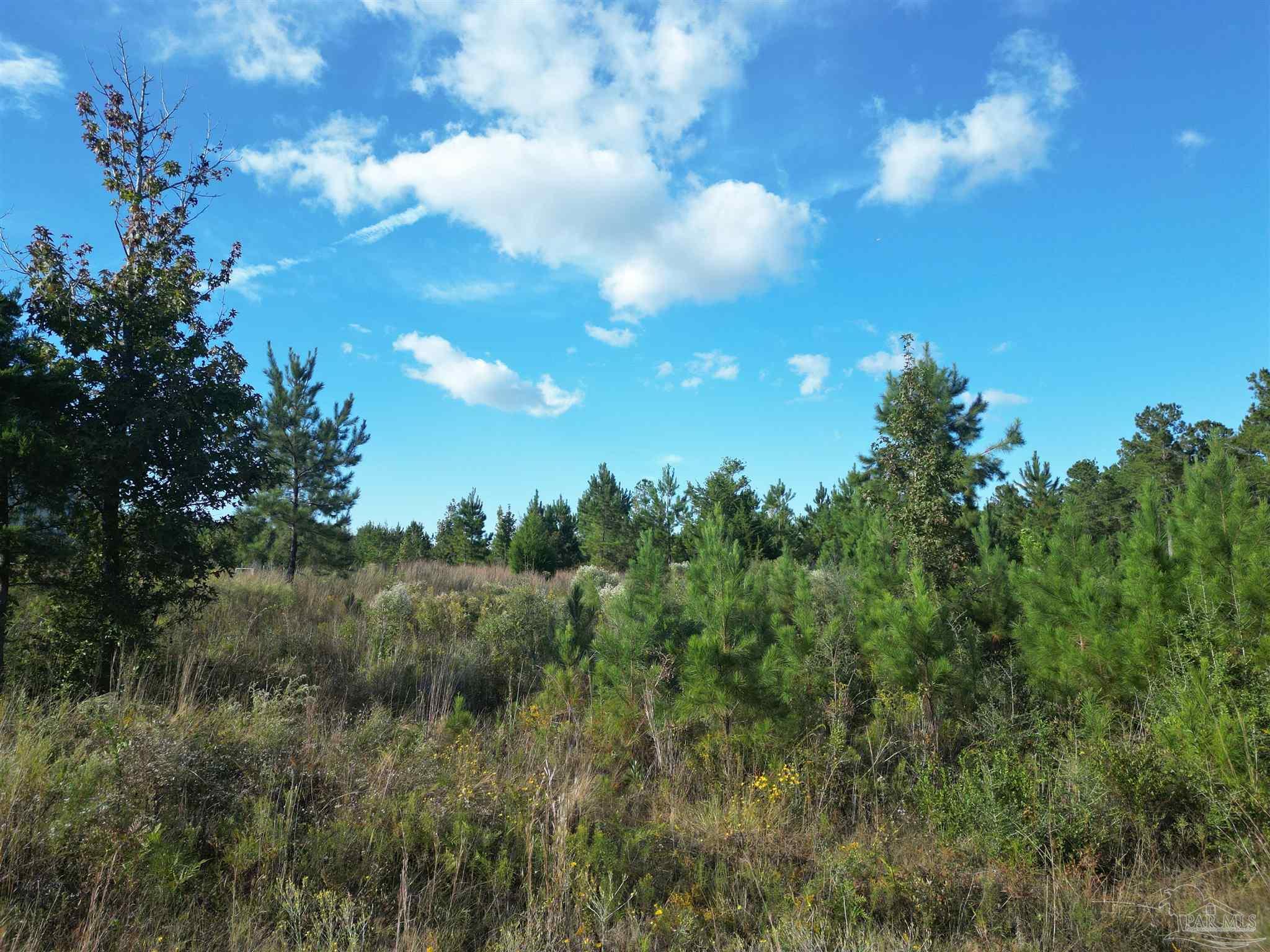 Lot 4n Aubrey Lane Pace FL 32571