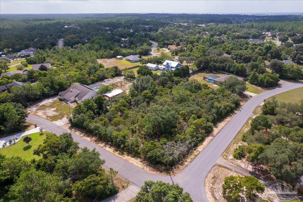 9425 Bone Bluff Drive Navarre FL 32566