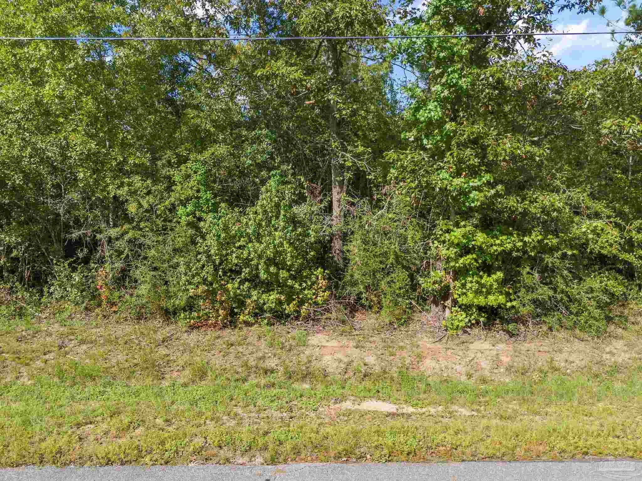 Parcel 14 Sid Hayes Road Jay FL 32565