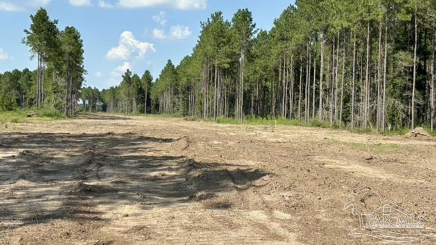 Lot 89 Posie Forest Road Milton FL 32570