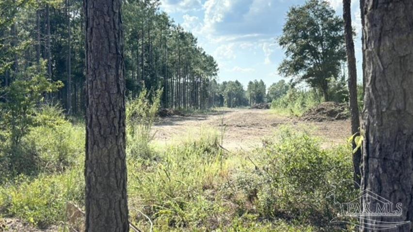 Lot 89 Posie Forest Road Milton FL 32570