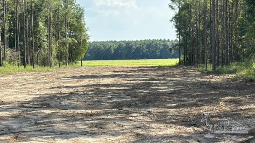 Lot 89 Posie Forest Road Milton FL 32570