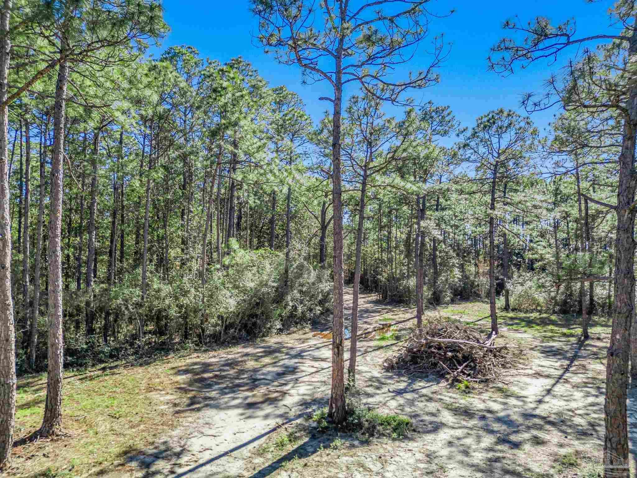 00000 San Raphael Road Milton FL 32570