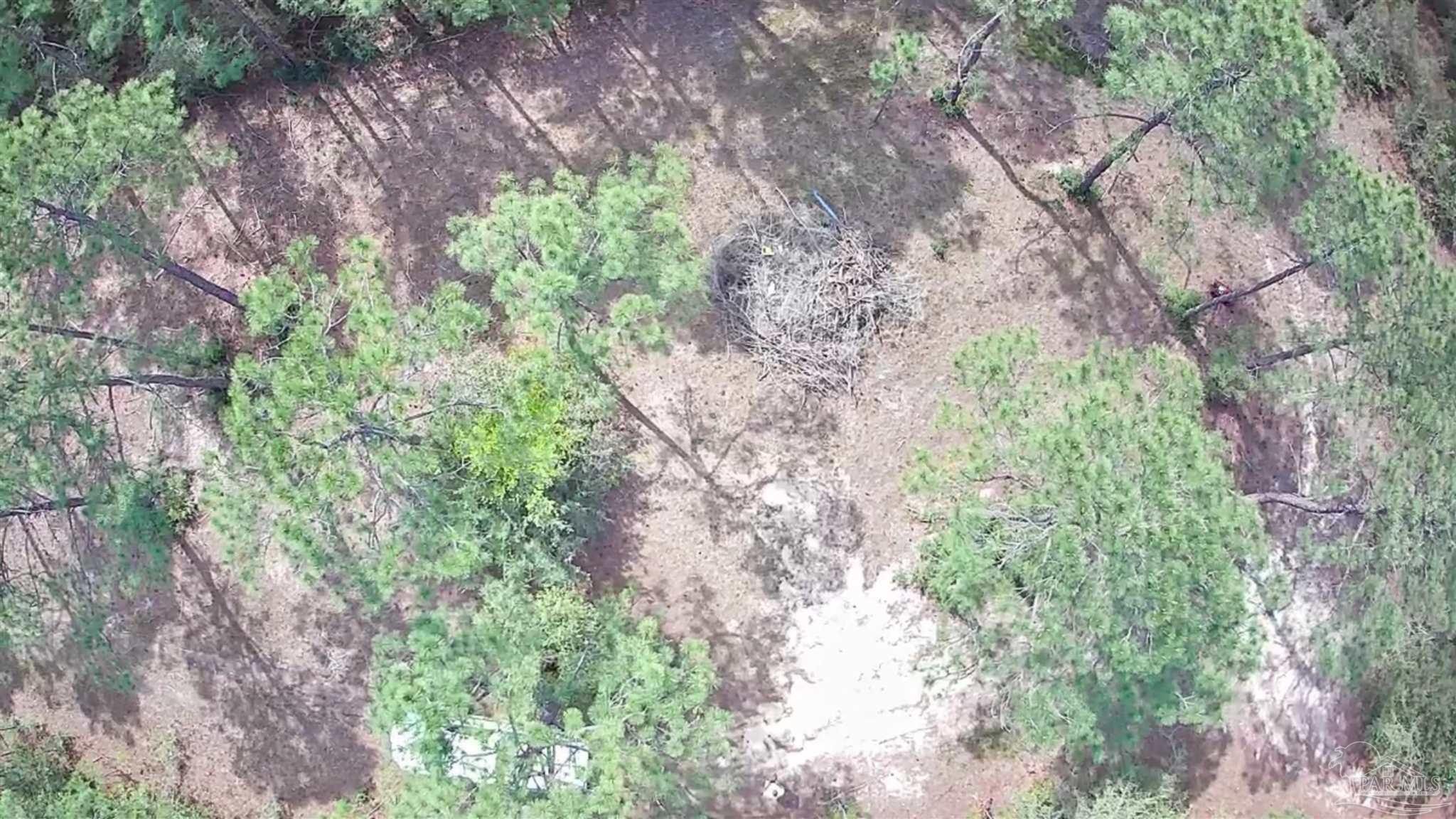 00000 San Raphael Road Milton FL 32570