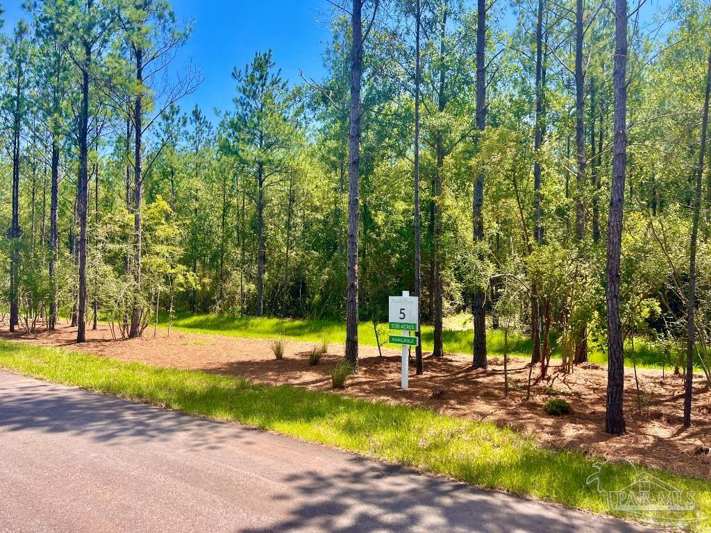 Lot 5 Creekdown Lane Pace FL 32571