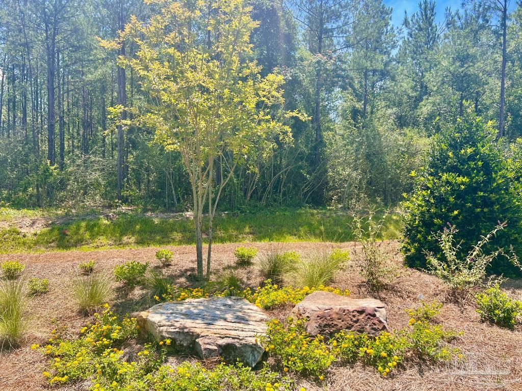 Lot 5 Creekdown Lane Pace FL 32571