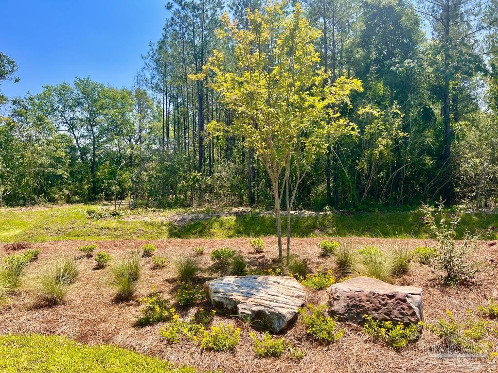 Lot 5 Creekdown Lane Pace FL 32571