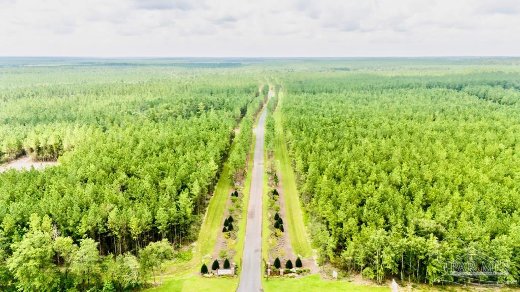 Lot 5 Creekdown Lane Pace FL 32571