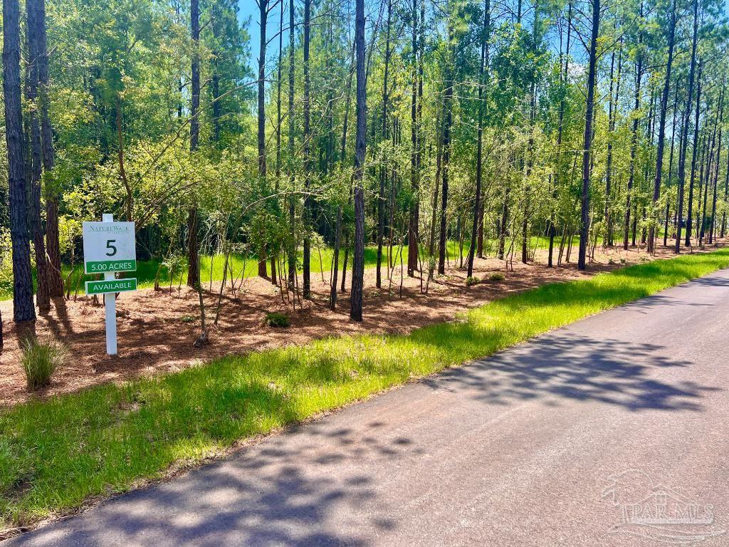 Lot 5 Creekdown Lane Pace FL 32571
