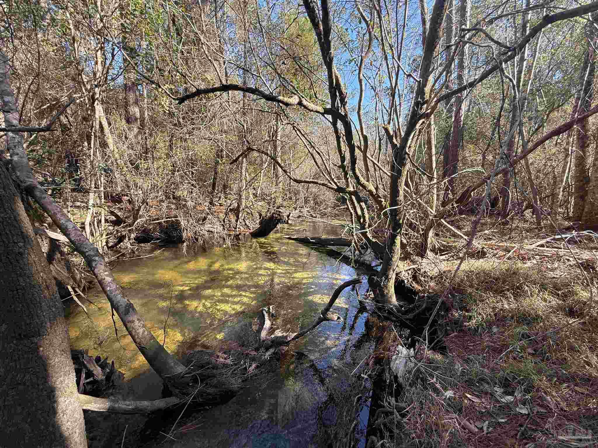 Lot 22 Creek Bluff Drive Pace FL 32571