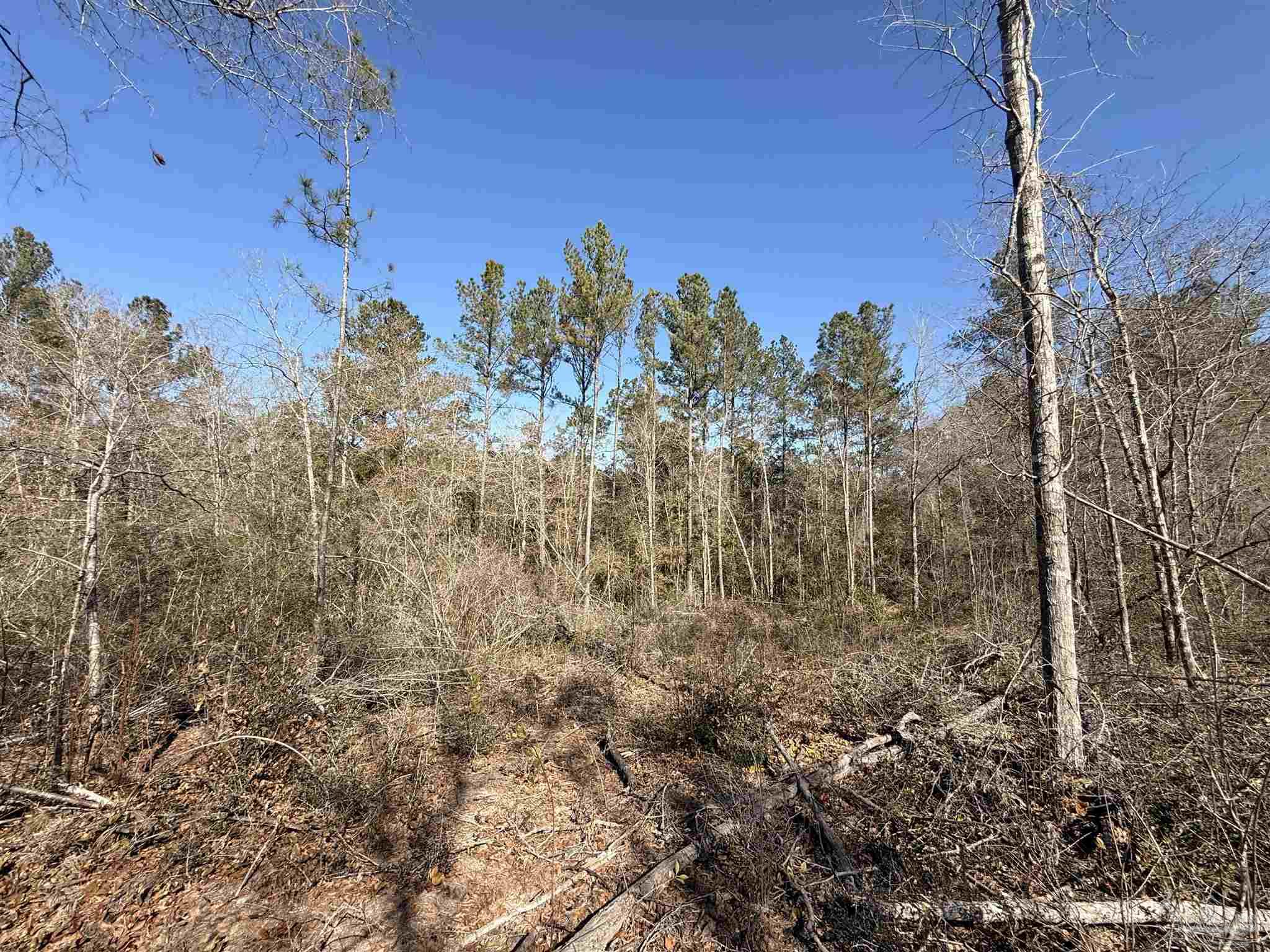 Lot 22 Creek Bluff Drive Pace FL 32571