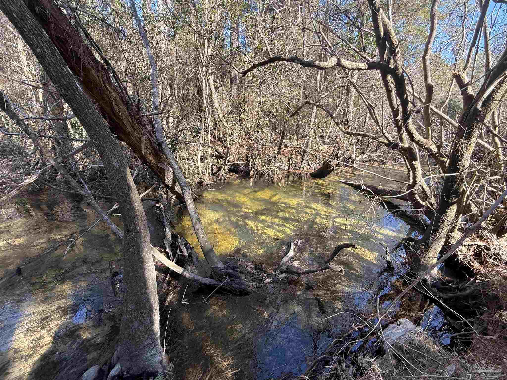 Lot 22 Creek Bluff Drive Pace FL 32571