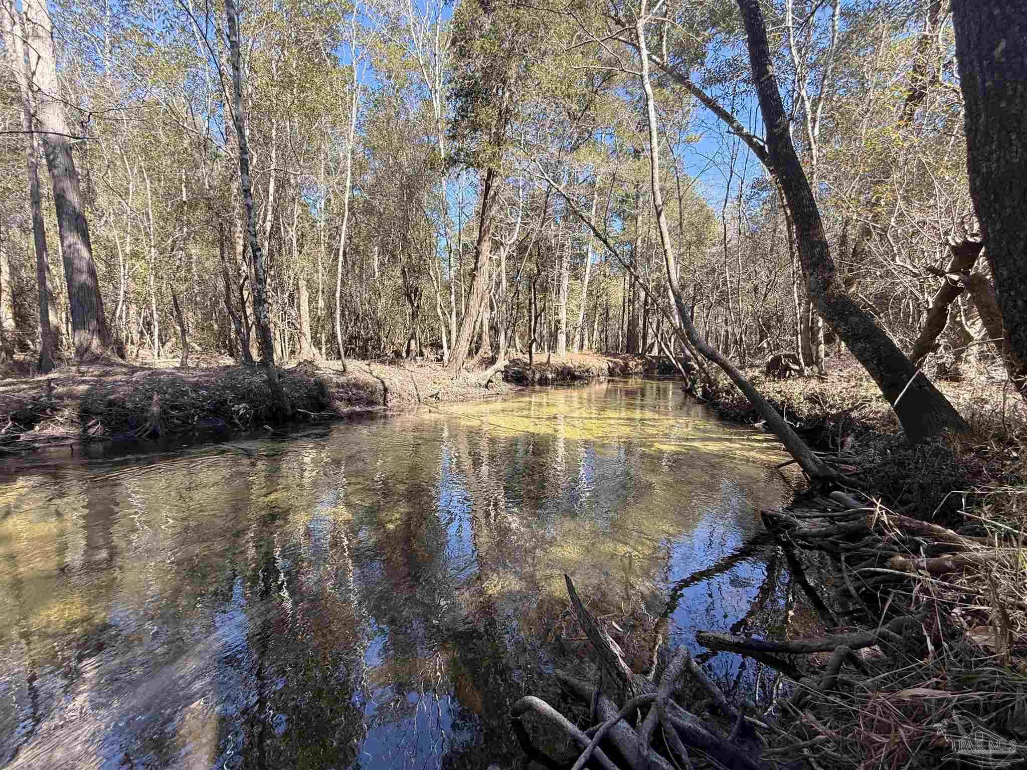 Lot 22 Creek Bluff Drive Pace FL 32571
