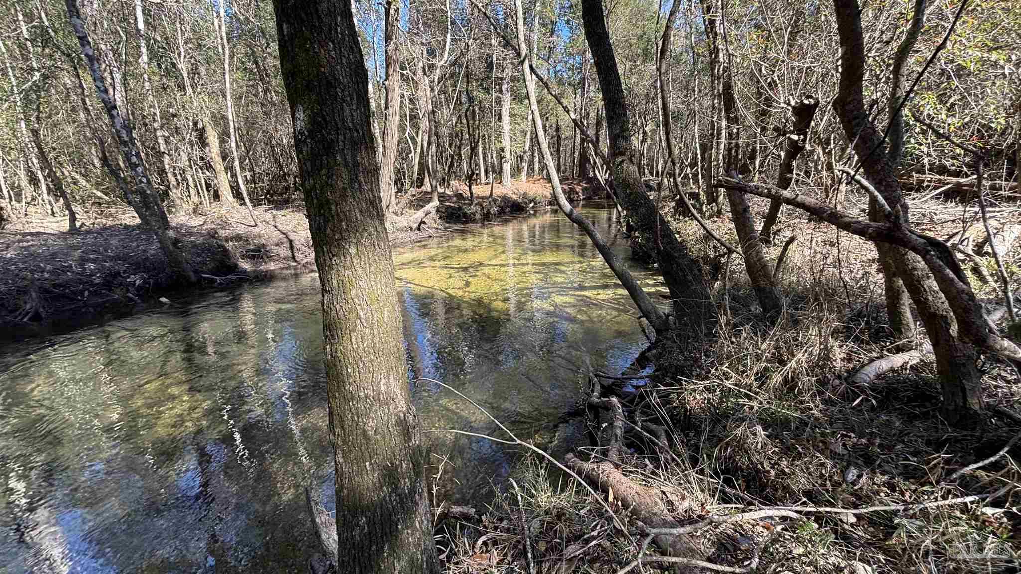 Lot 22 Creek Bluff Drive Pace FL 32571