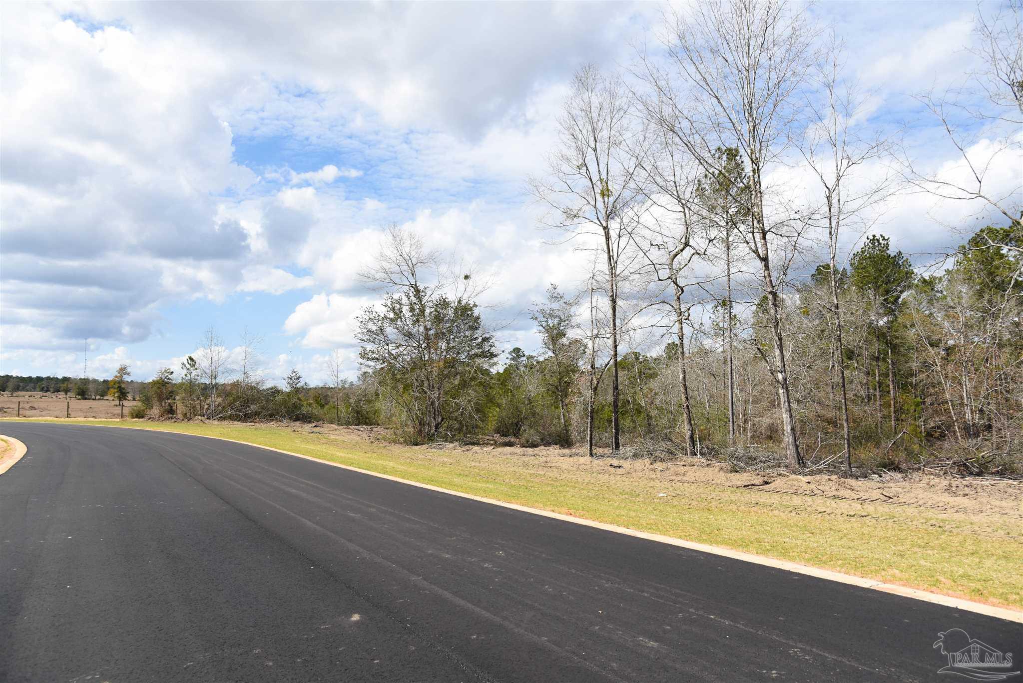 Lot 22 Creek Bluff Drive Pace FL 32571