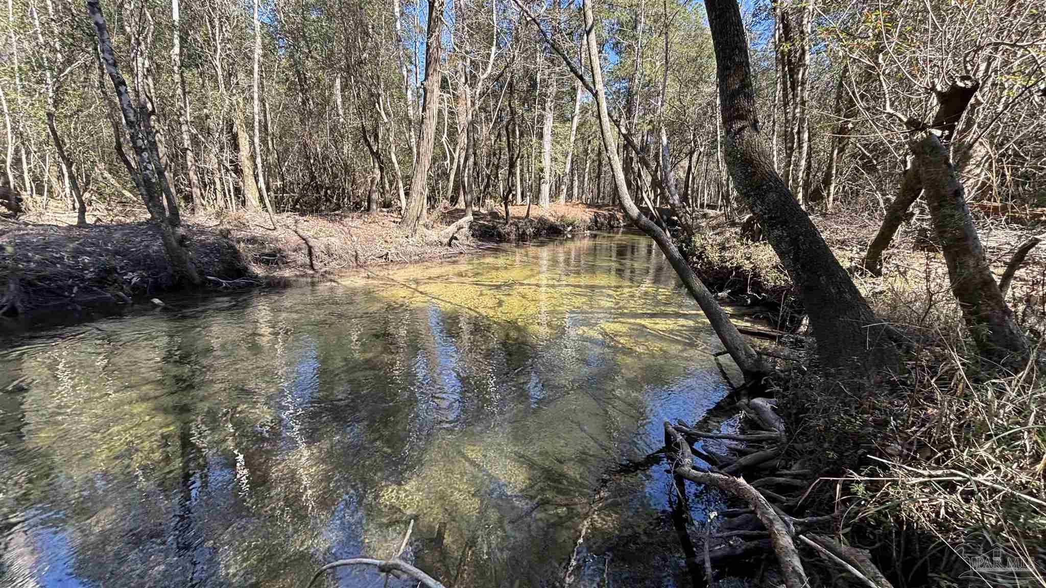 Lot 22 Creek Bluff Drive Pace FL 32571